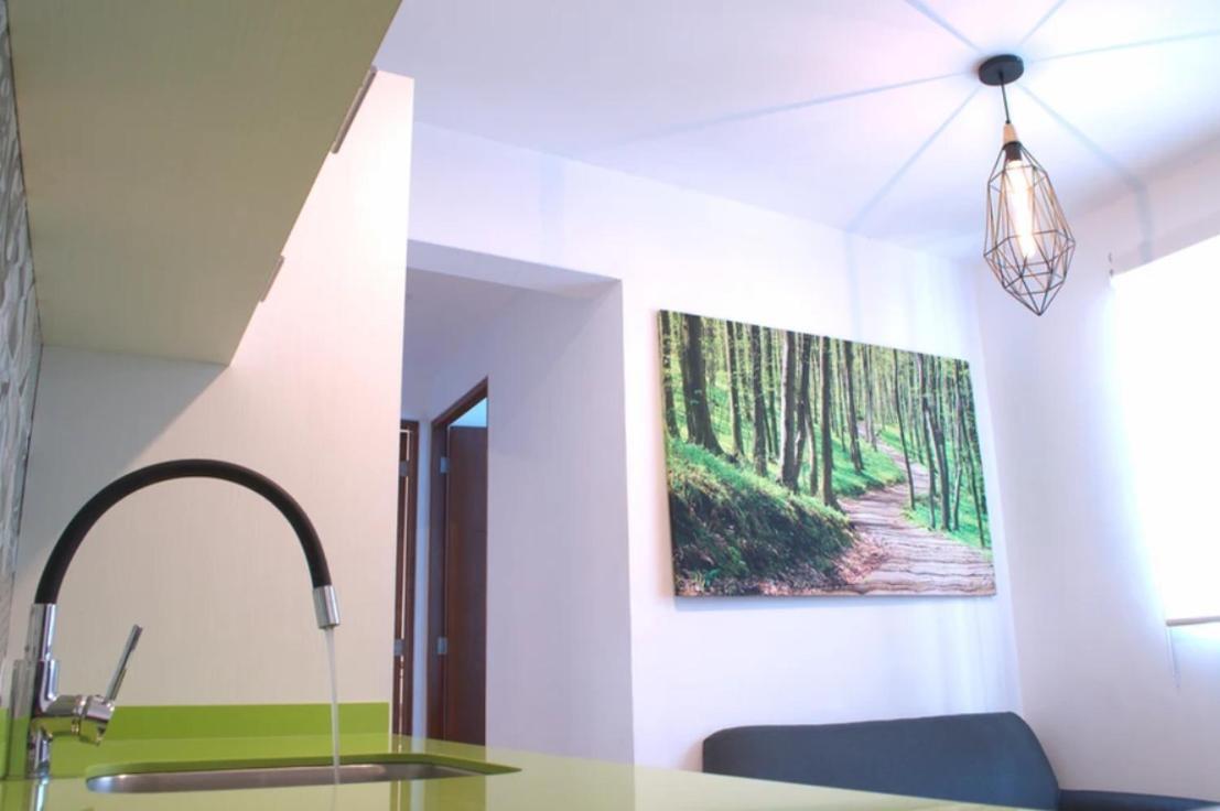 Casa San Rafael Cdmx Aparthotel Mexico City